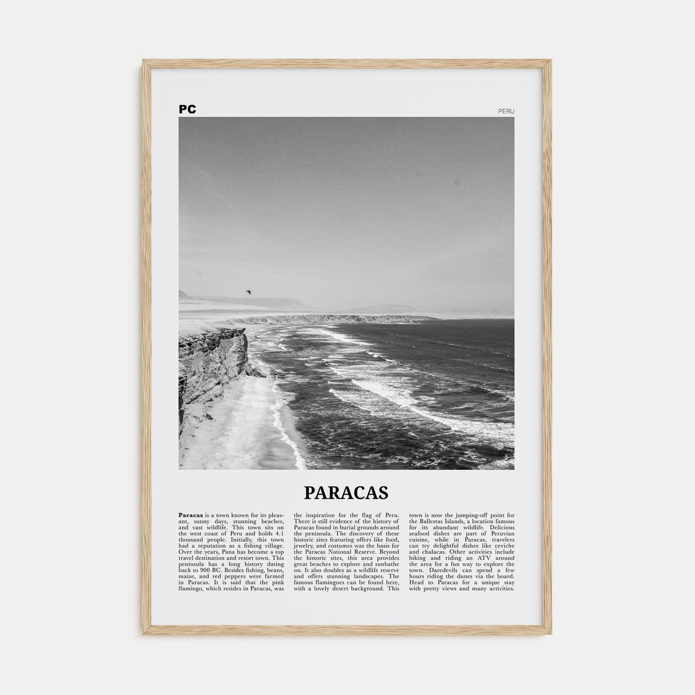Paracas Travel B&W Poster