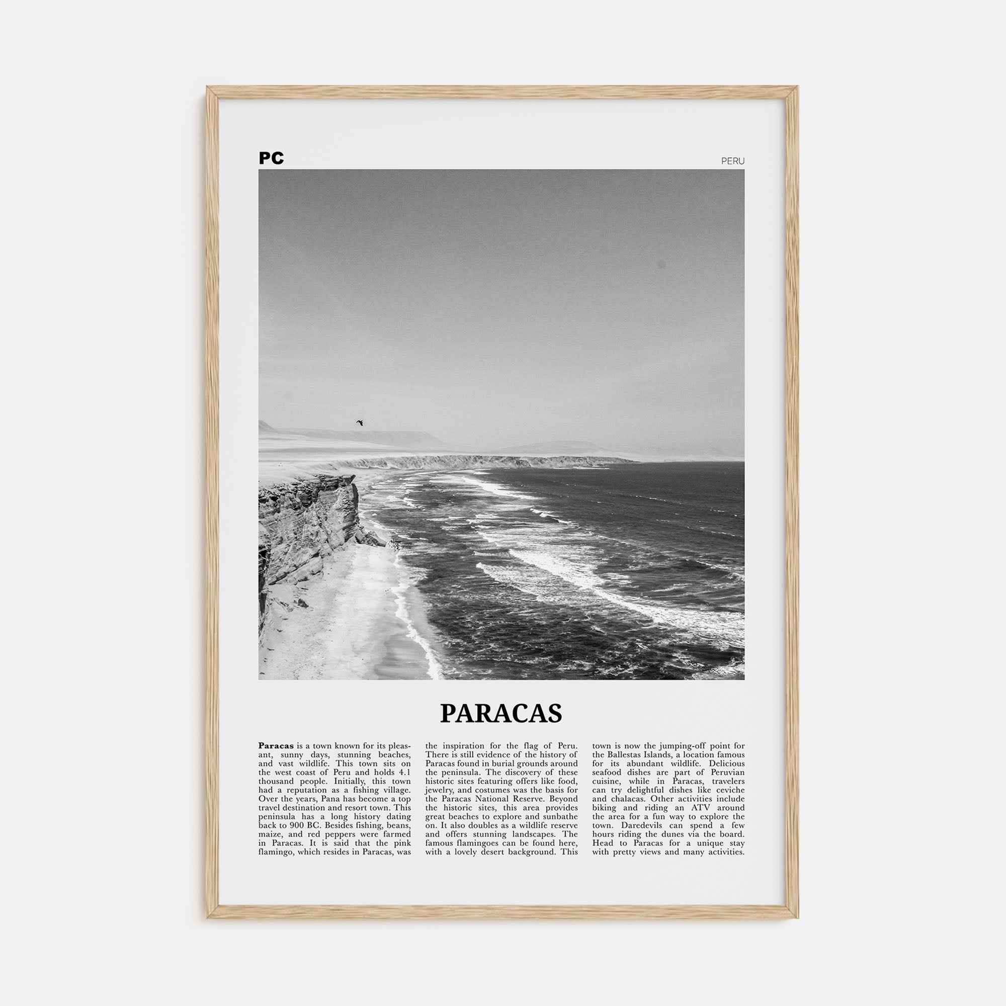 Paracas Travel B&W Poster
