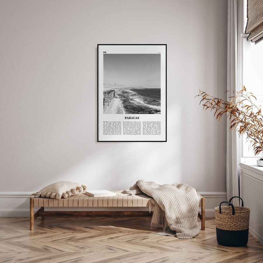 Paracas Travel B&W Poster