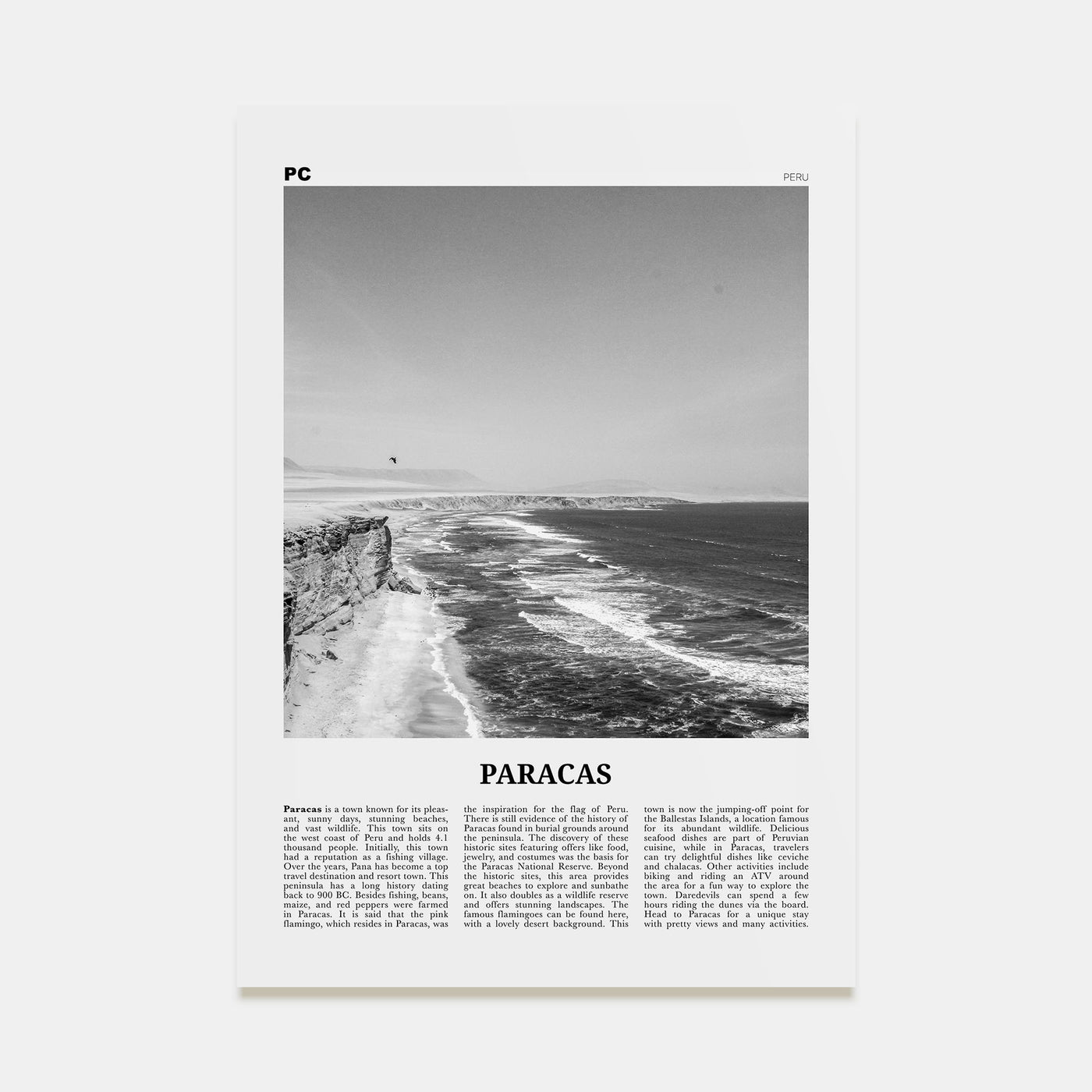 Paracas Travel B&W Poster
