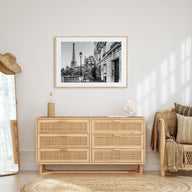 Paris Landscape B&W No 2 Poster