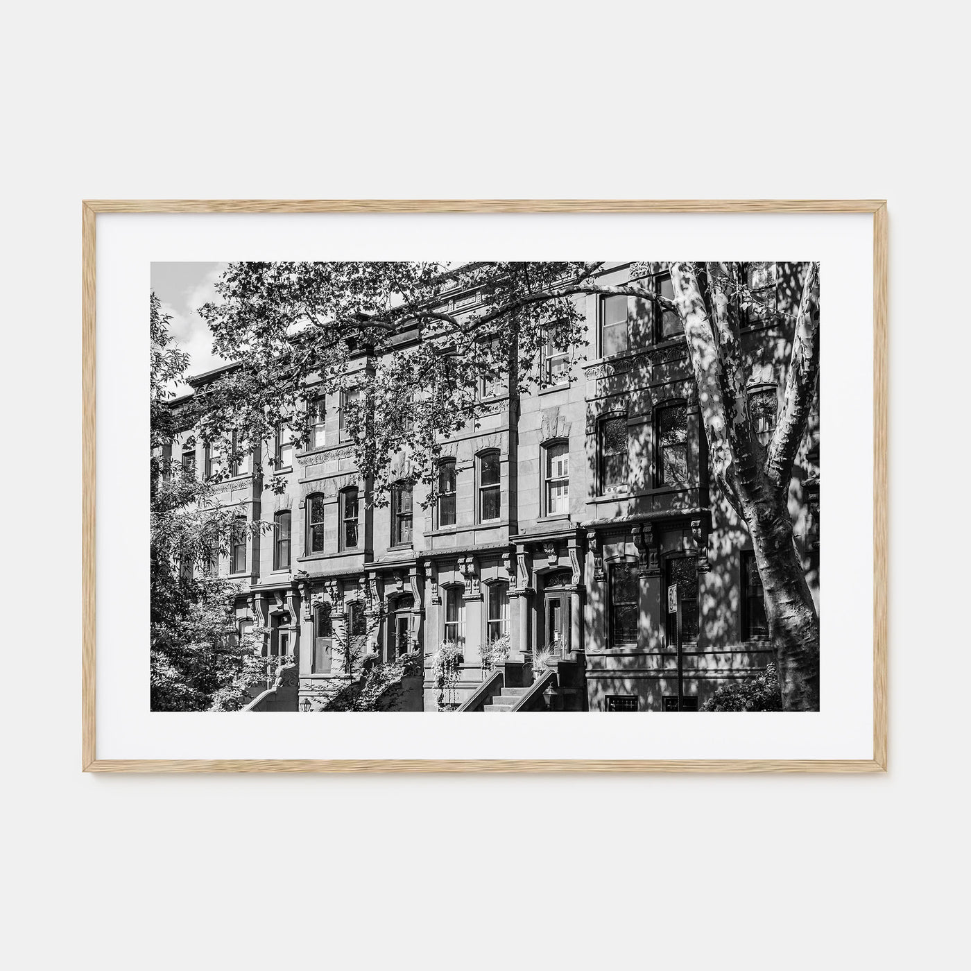 Park Slope Landscape B&W Poster