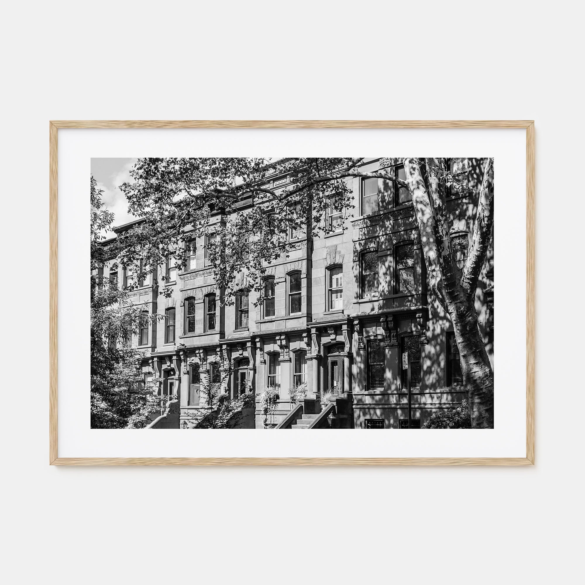 Park Slope Landscape B&W Poster