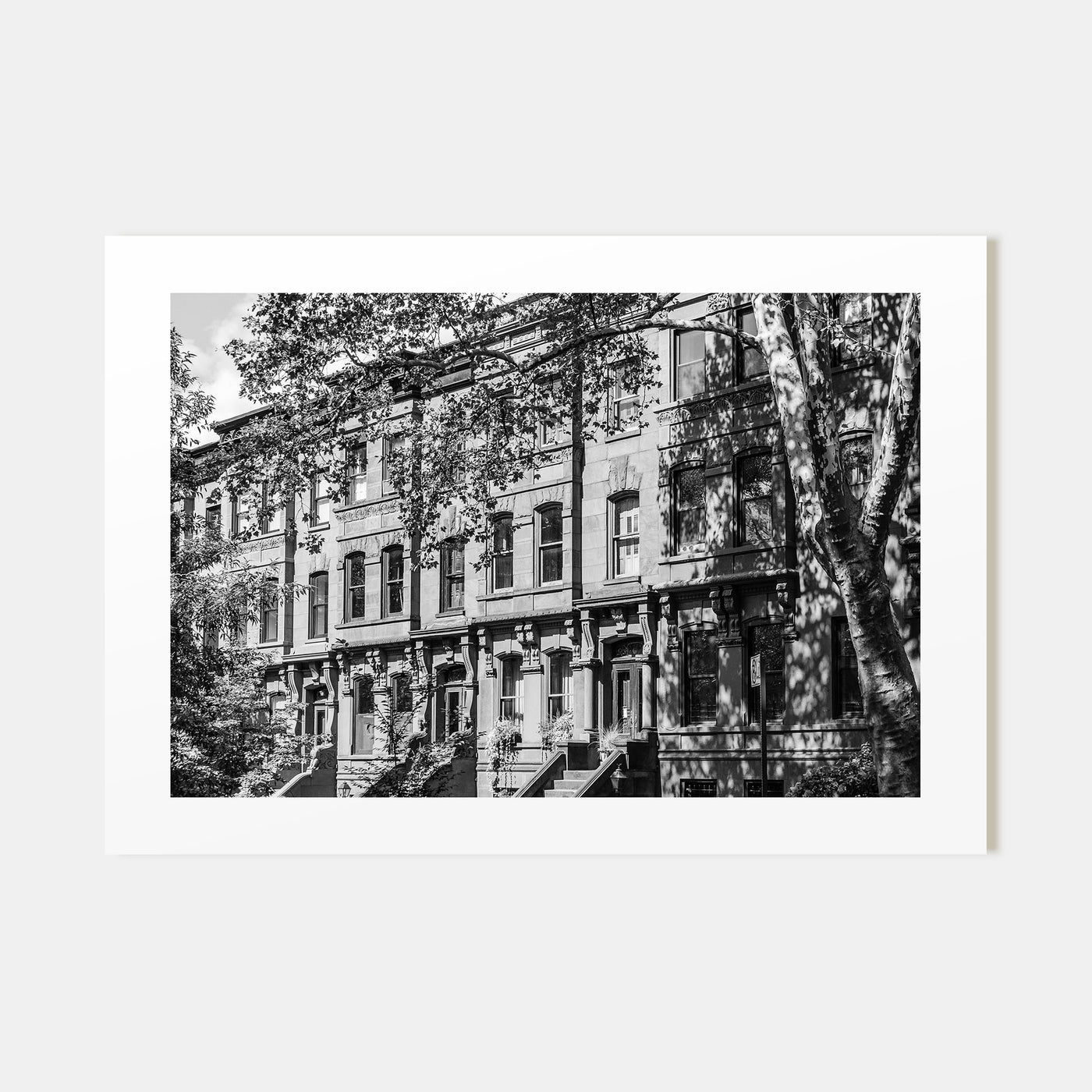 Park Slope Landscape B&W Poster