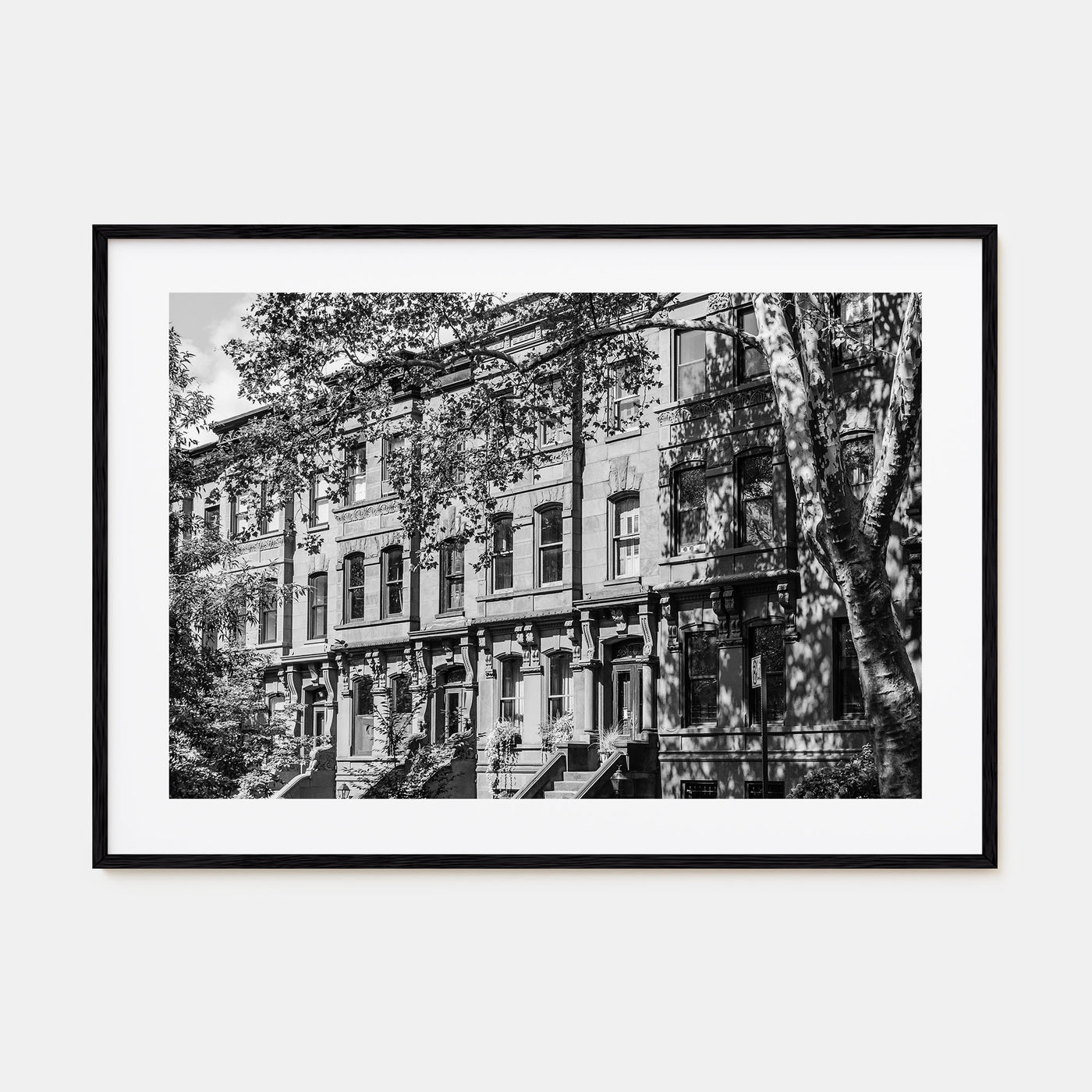 Park Slope Landscape B&W Poster