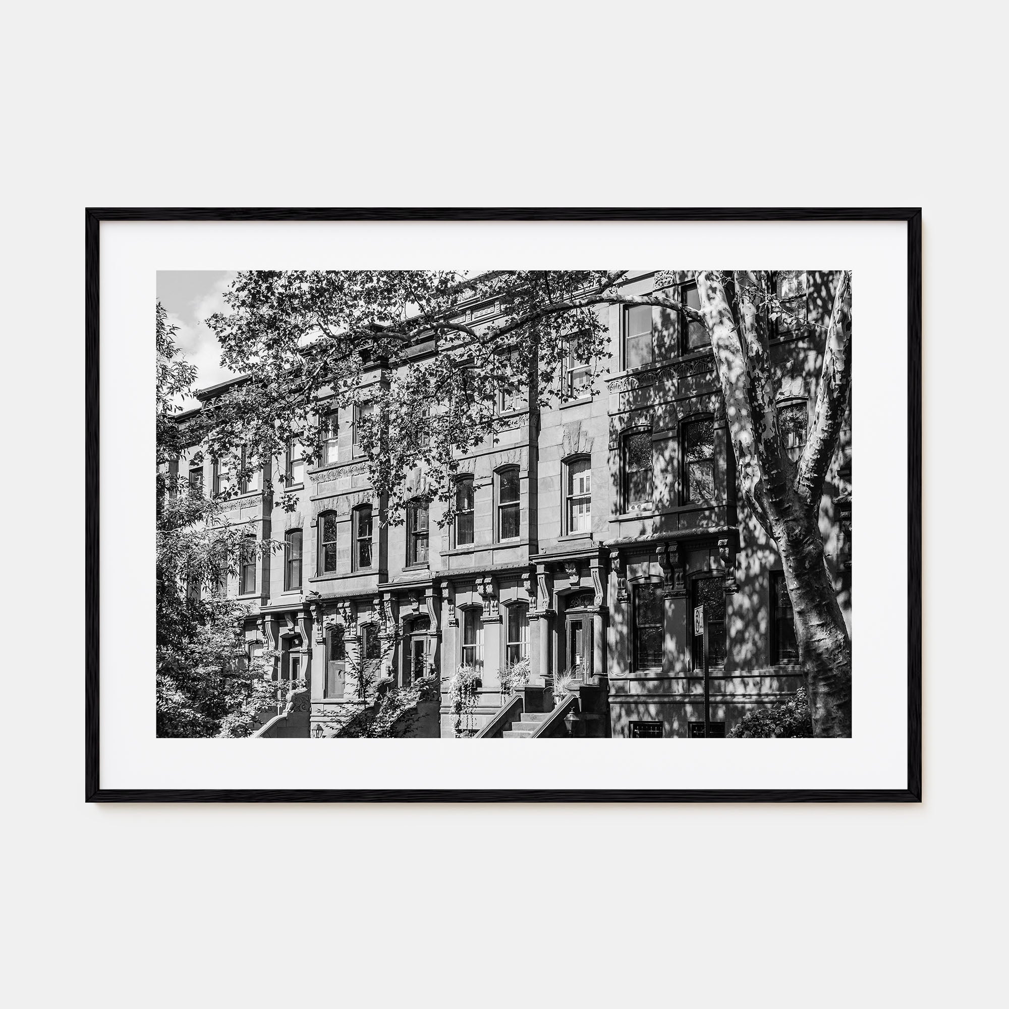 Park Slope Landscape B&W Poster