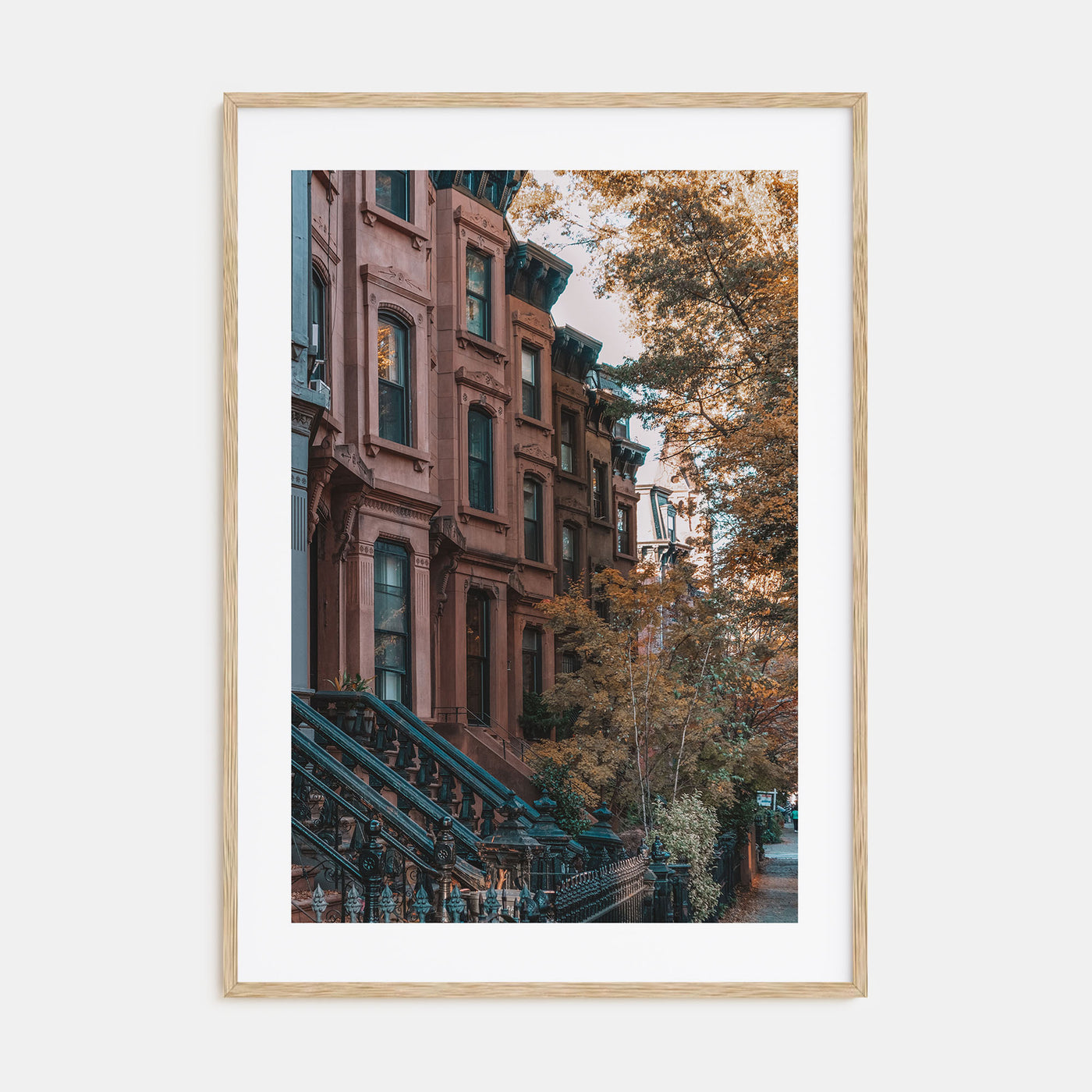 Park Slope Photo Color Poster