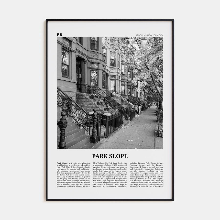 Park Slope Travel B&W Poster