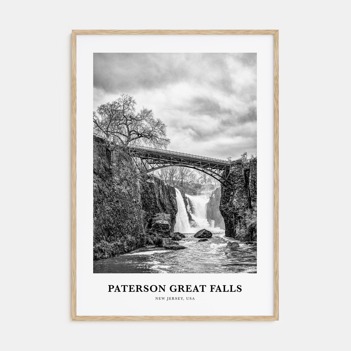 Paterson Great Falls Portrait B&W Poster