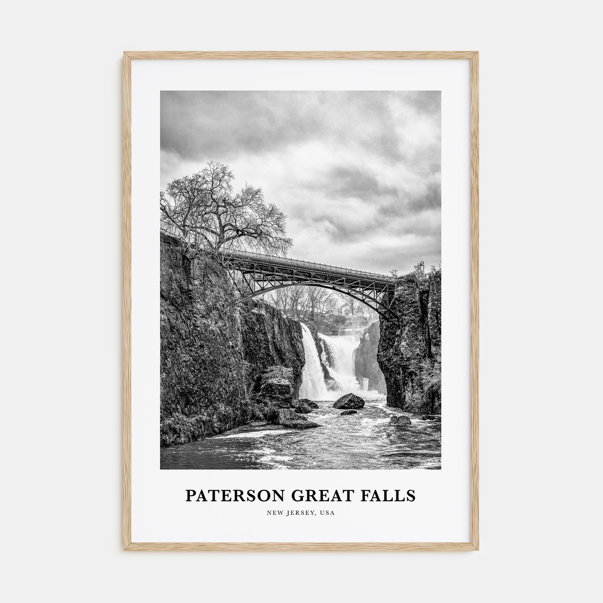 Paterson Great Falls Portrait B&W Poster