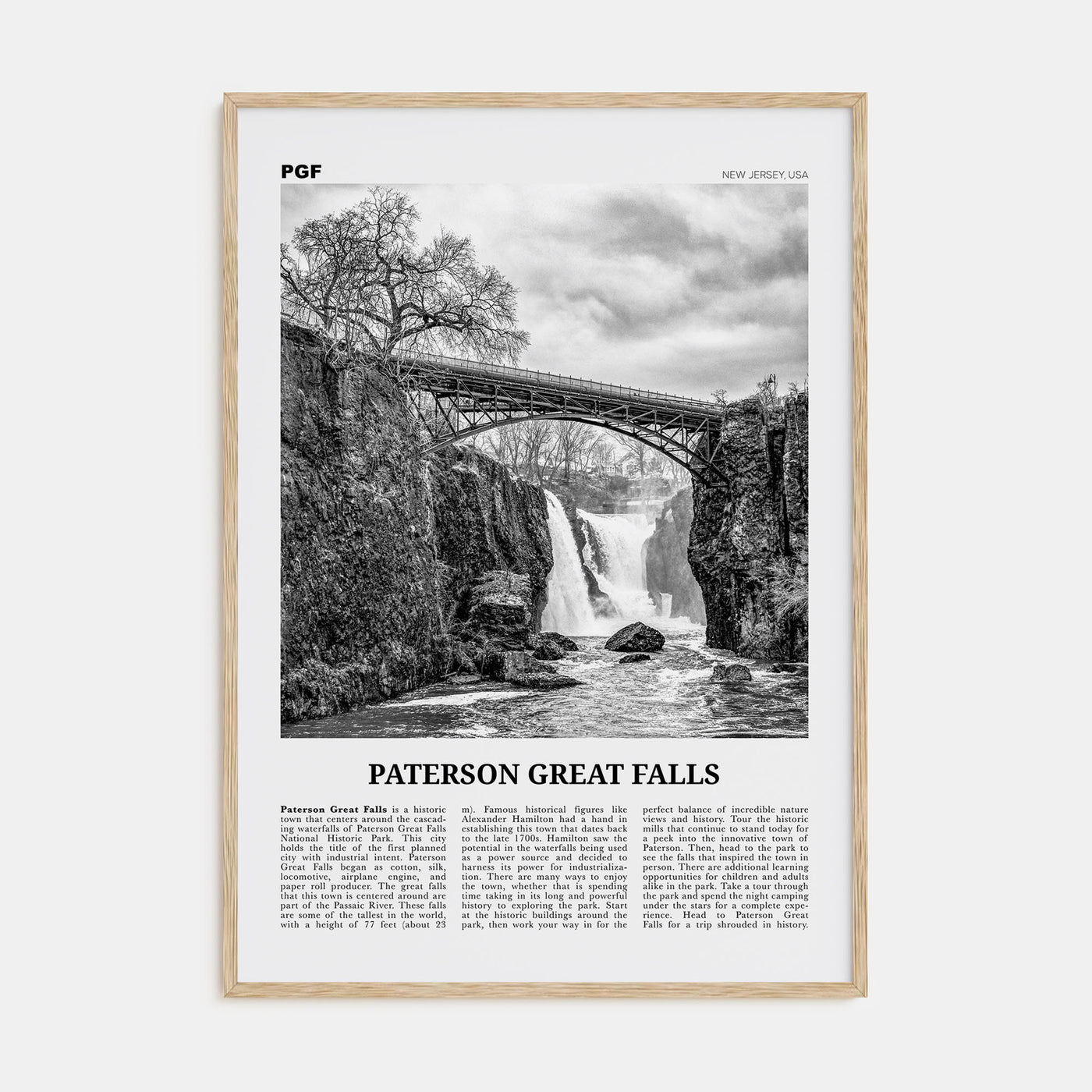 Paterson Great Falls Travel B&W Poster
