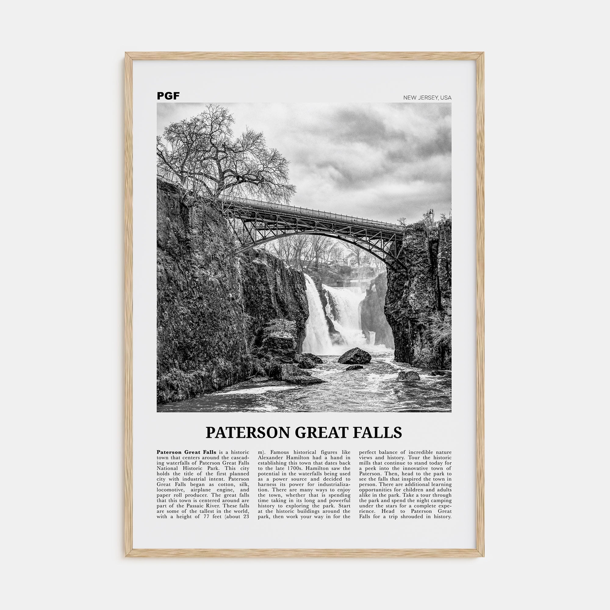 Paterson Great Falls Travel B&W Poster