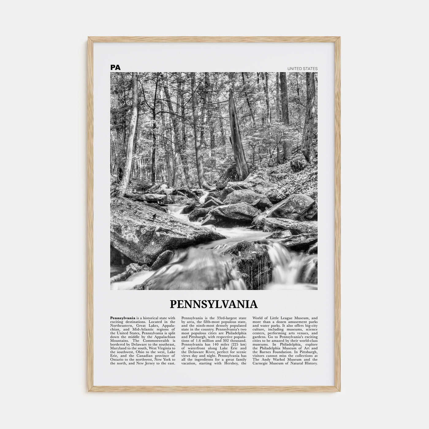 Pennsylvania Travel B&W No 3 Poster