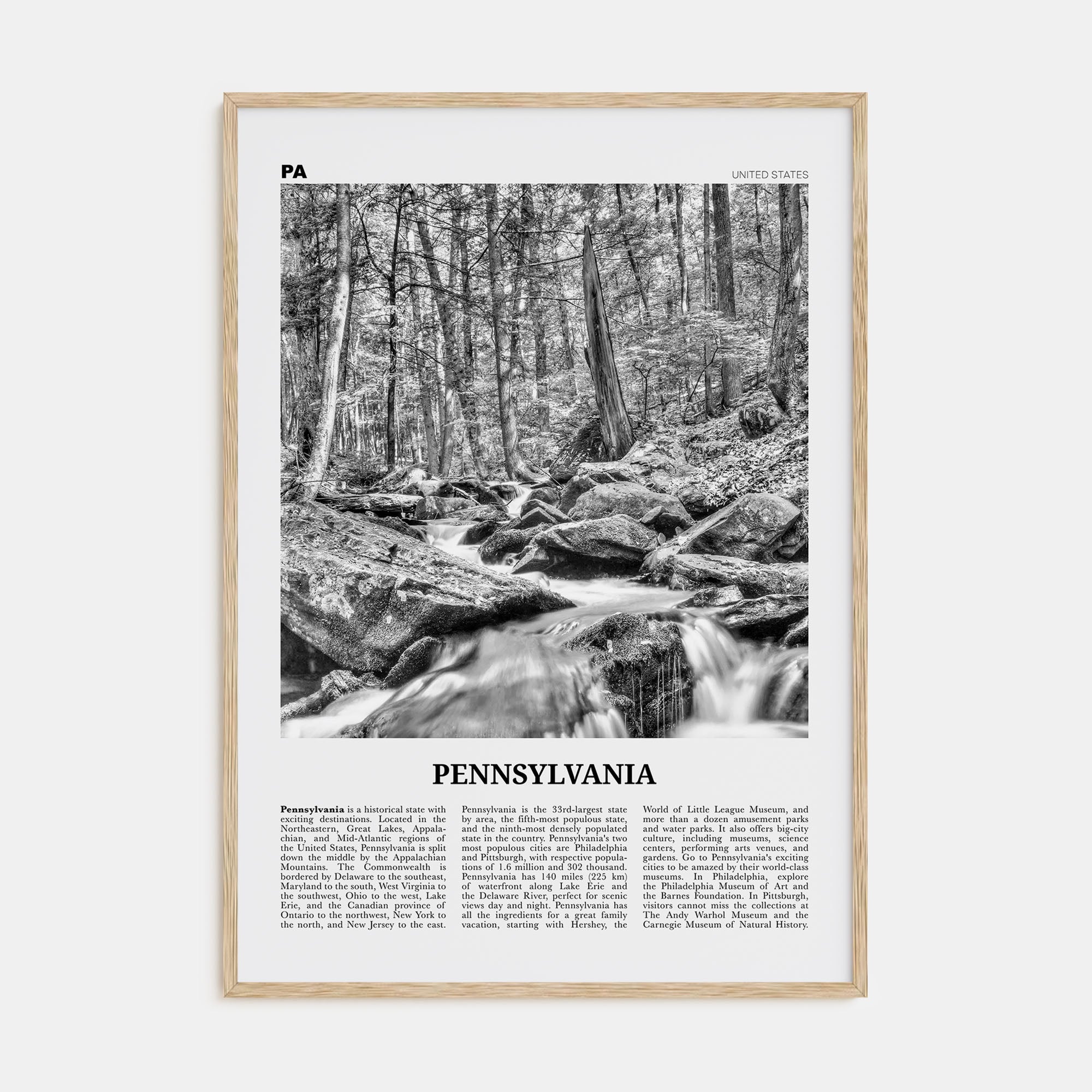 Pennsylvania Travel B&W No 3 Poster