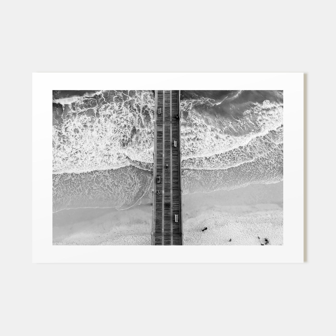 Pensacola Landscape B&W Poster
