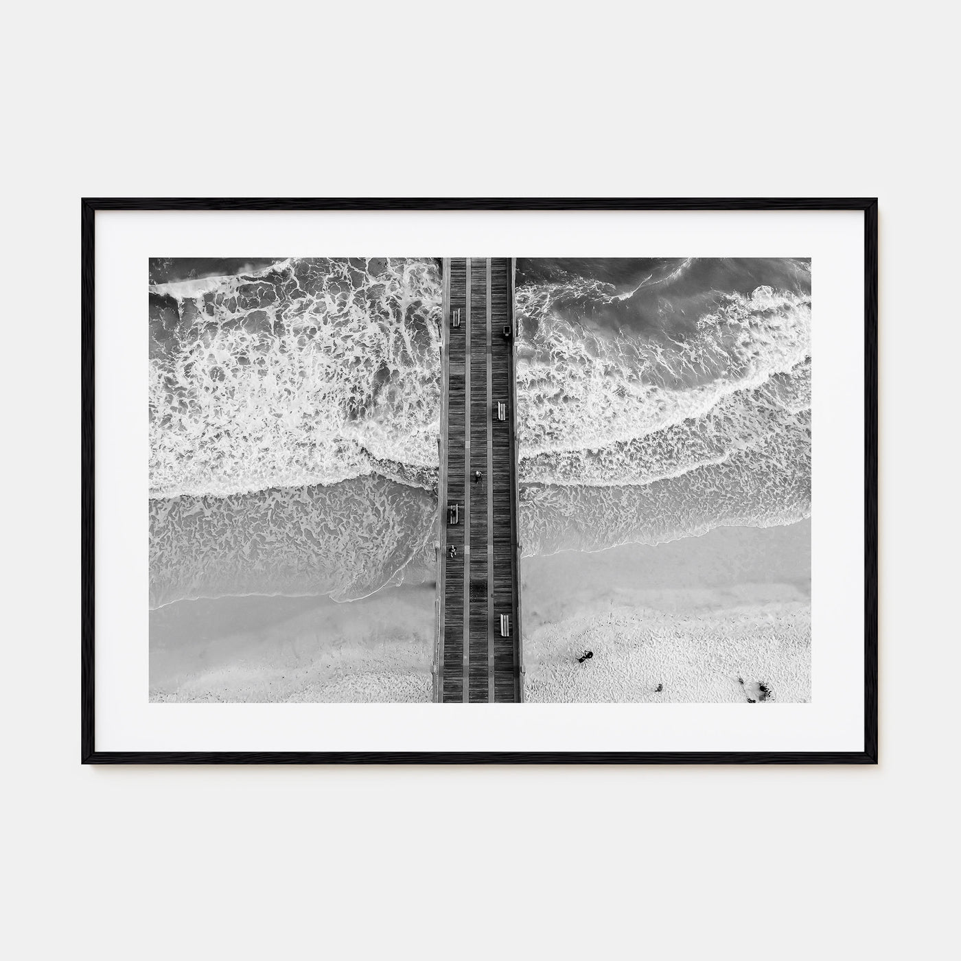 Pensacola Landscape B&W Poster