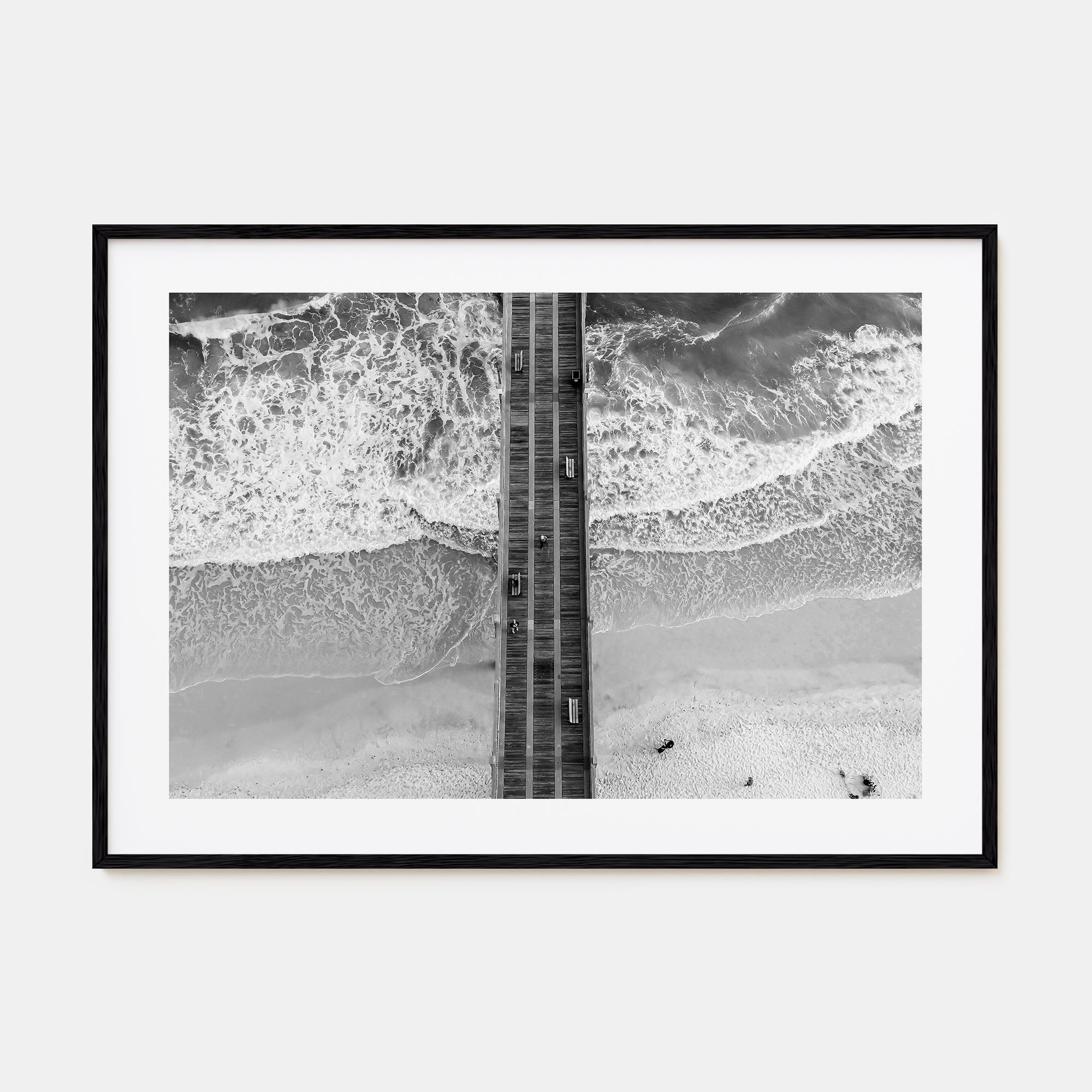 Pensacola Landscape B&W Poster