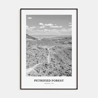 Petrified Forest National Park Portrait B&W Poster