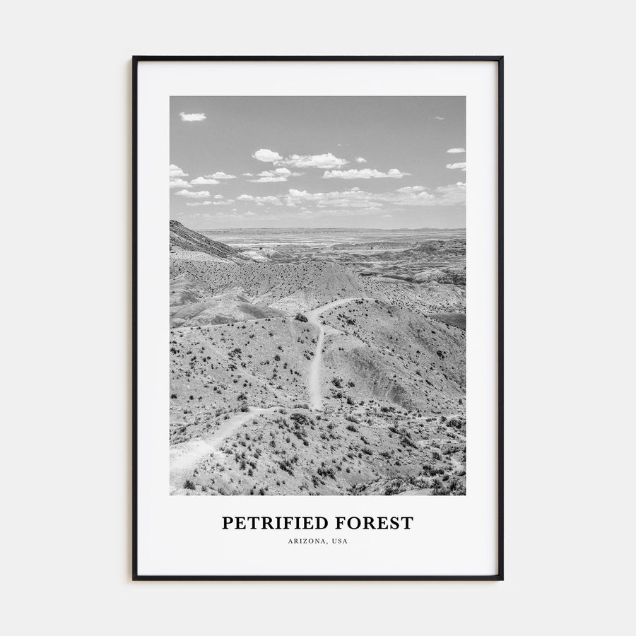 Petrified Forest National Park Portrait B&W Poster