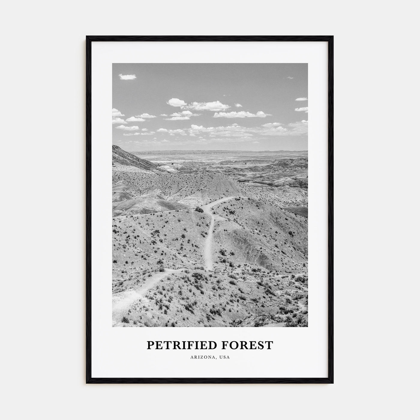 Petrified Forest National Park Portrait B&W Poster
