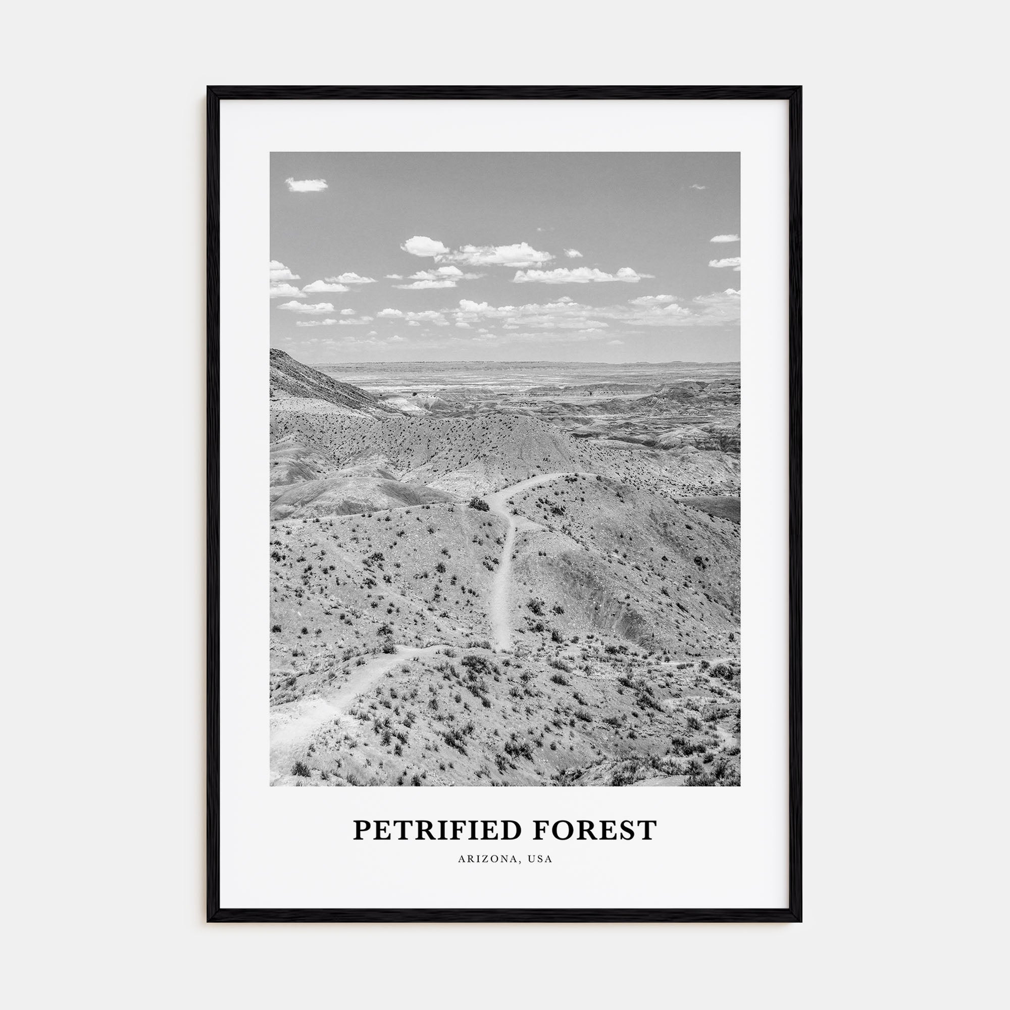 Petrified Forest National Park Portrait B&W Poster
