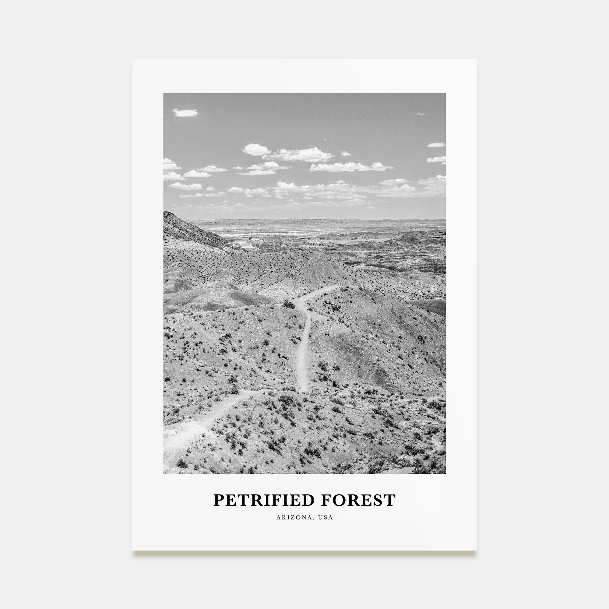 Petrified Forest National Park Portrait B&W Poster