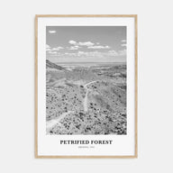 Petrified Forest National Park Portrait B&W Poster