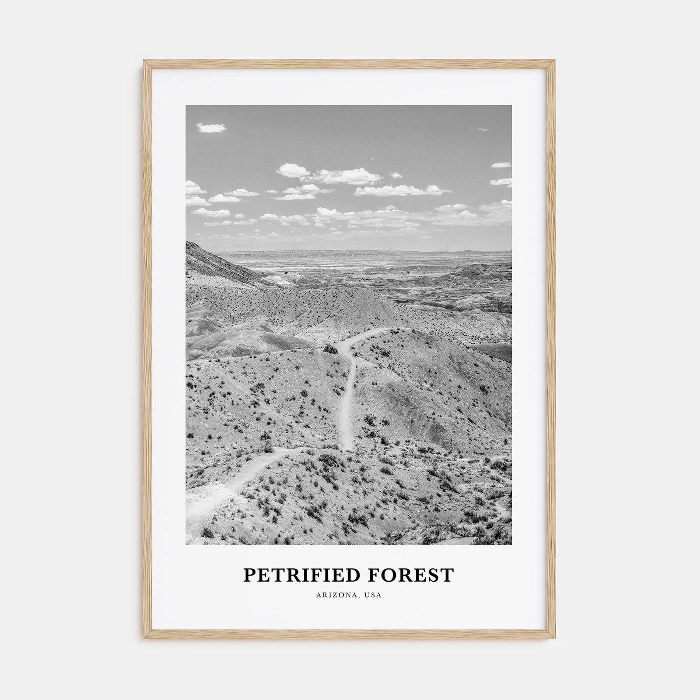 Petrified Forest National Park Portrait B&W Poster