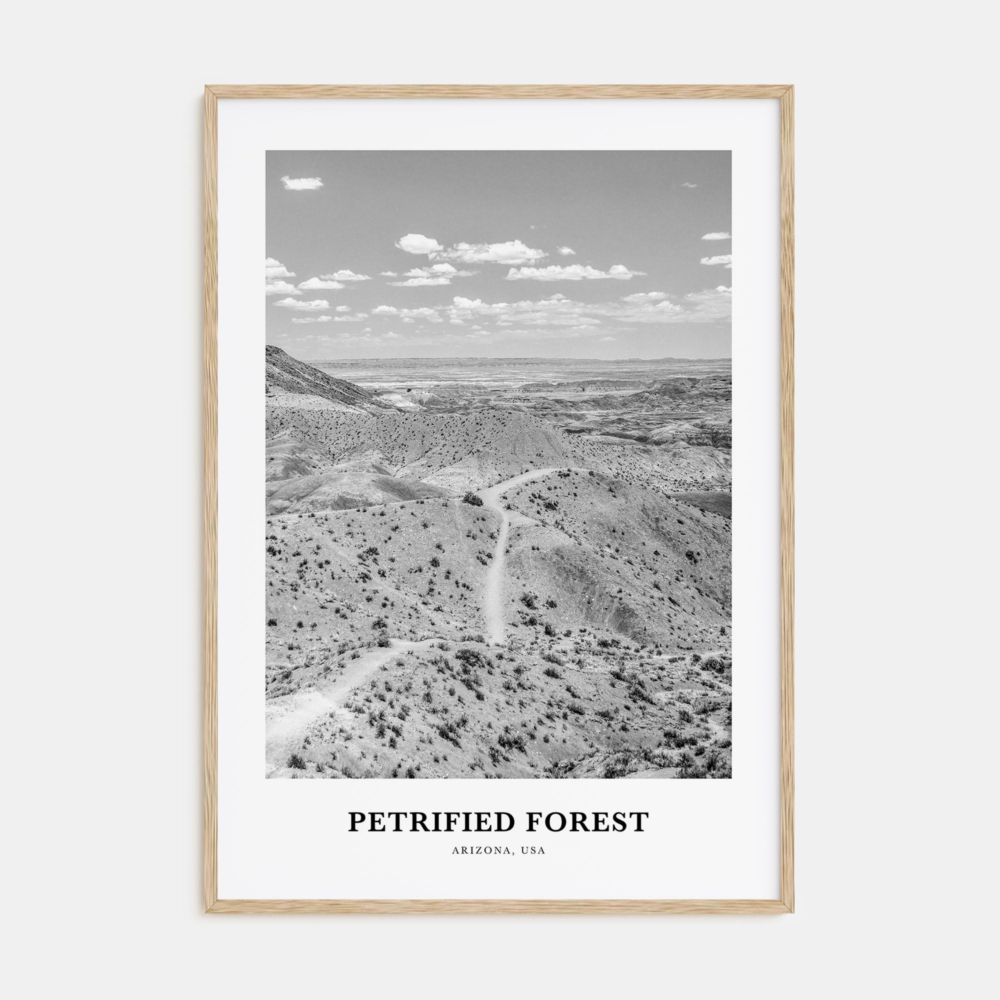 Petrified Forest National Park Portrait B&W Poster