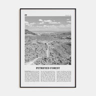 Petrified Forest National Park Travel B&W Poster