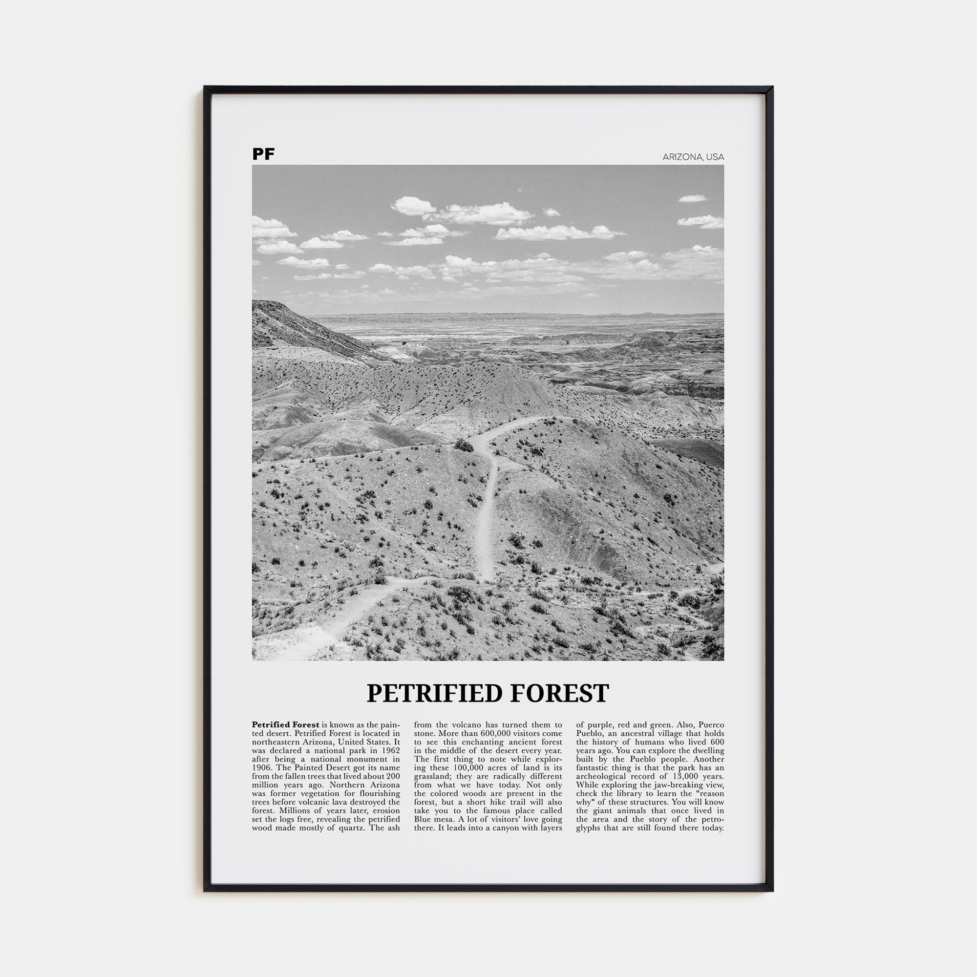 Petrified Forest National Park Travel B&W Poster