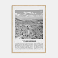 Petrified Forest National Park Travel B&W Poster