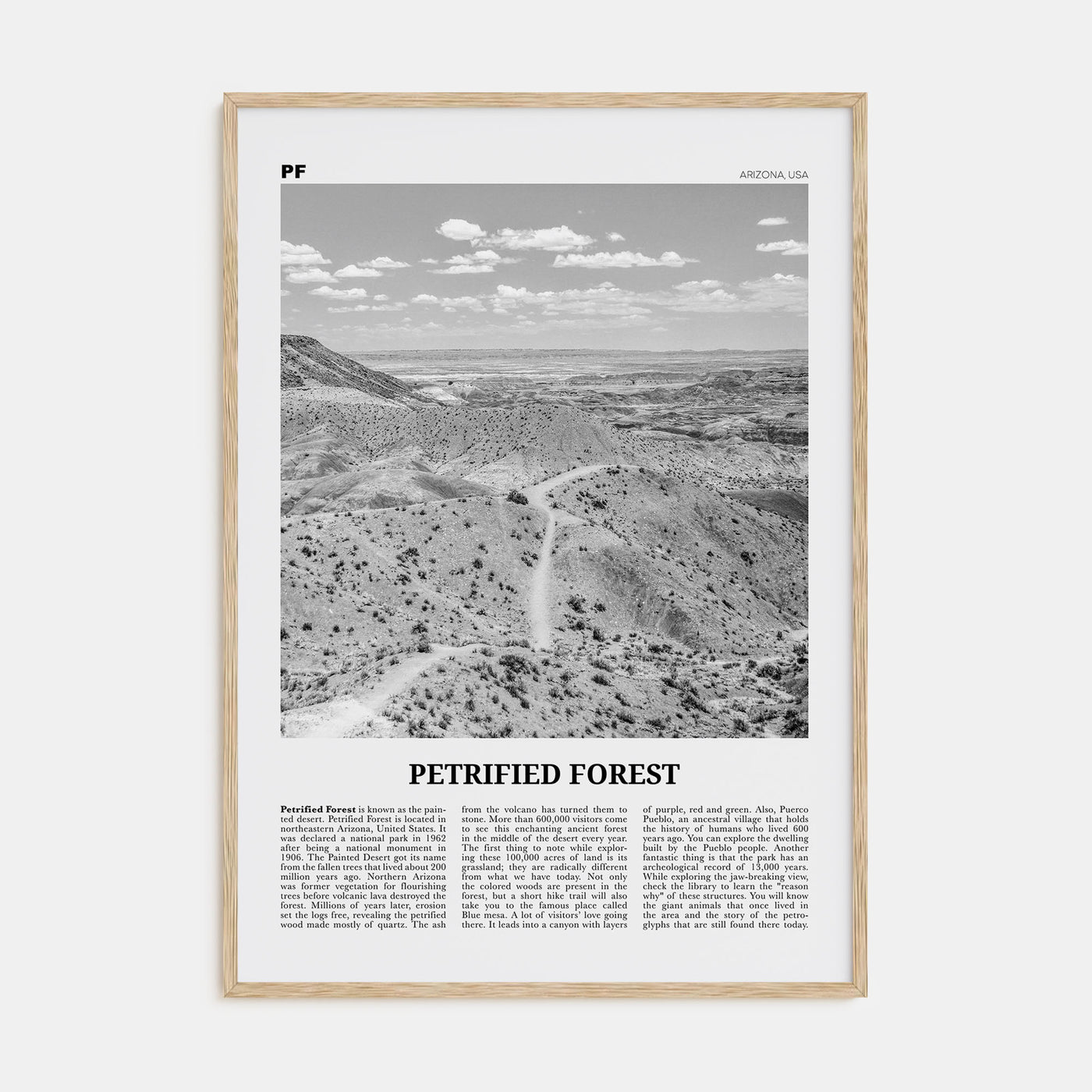 Petrified Forest National Park Travel B&W Poster