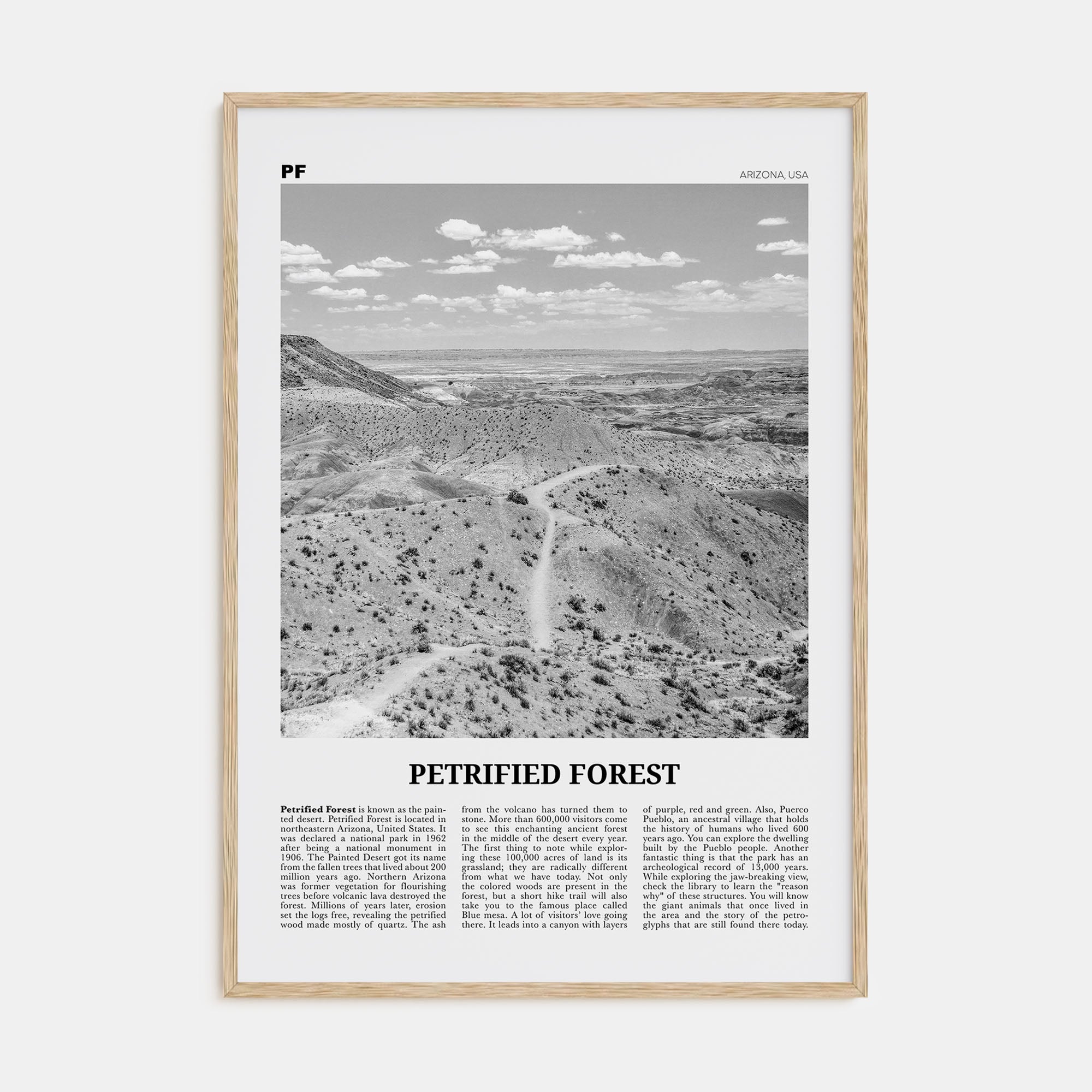 Petrified Forest National Park Travel B&W Poster
