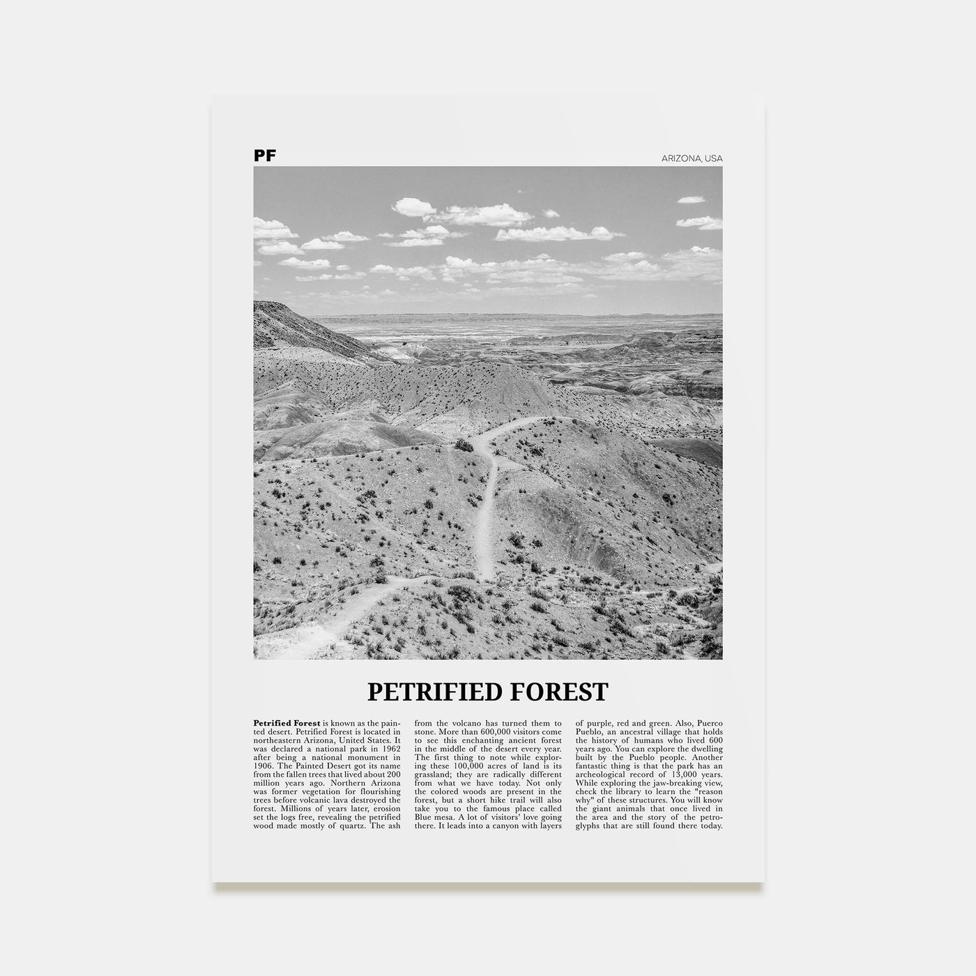 Petrified Forest National Park Travel B&W Poster