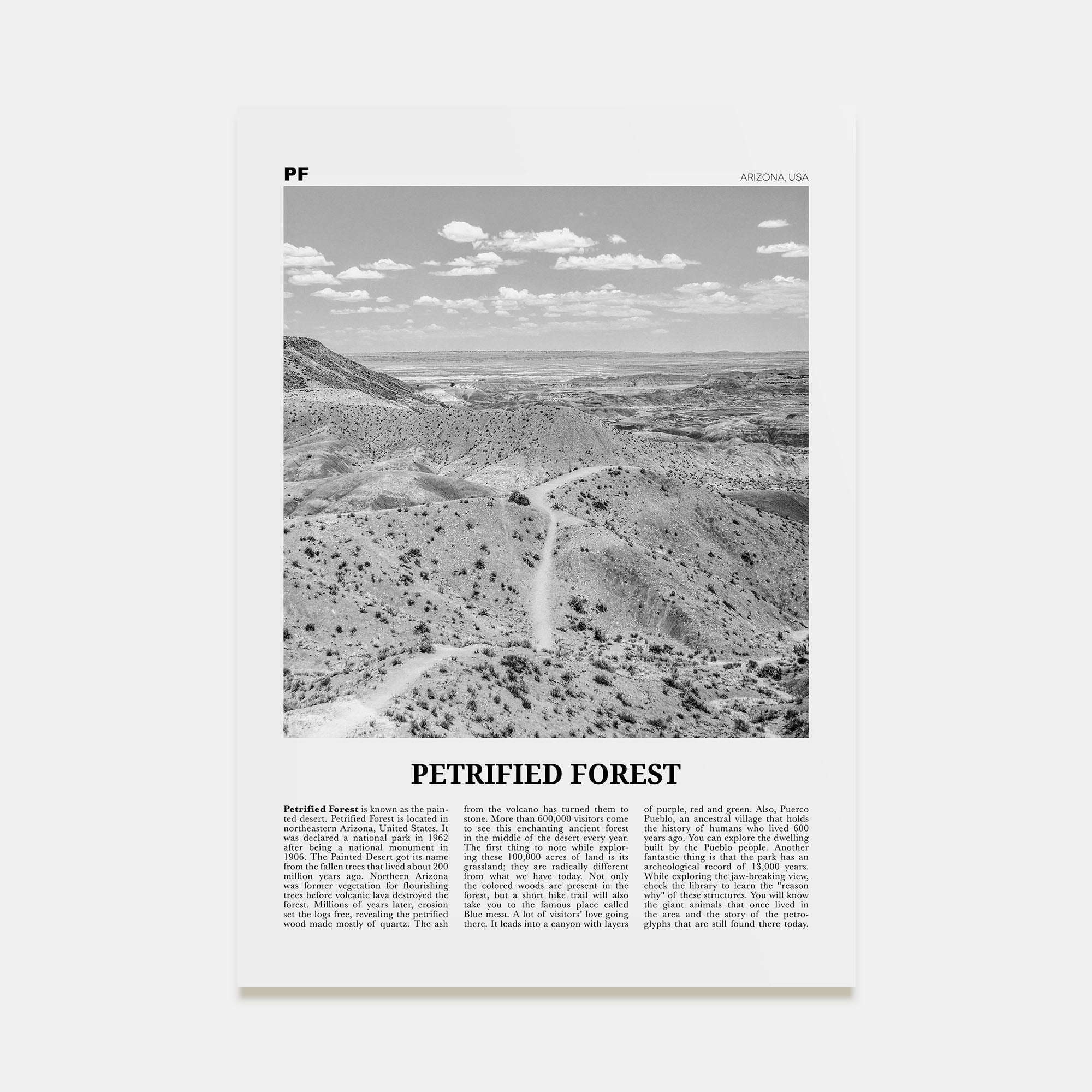 Petrified Forest National Park Travel B&W Poster