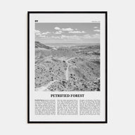 Petrified Forest National Park Travel B&W Poster