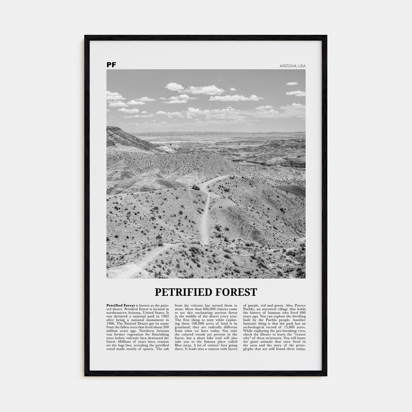 Petrified Forest National Park Travel B&W Poster