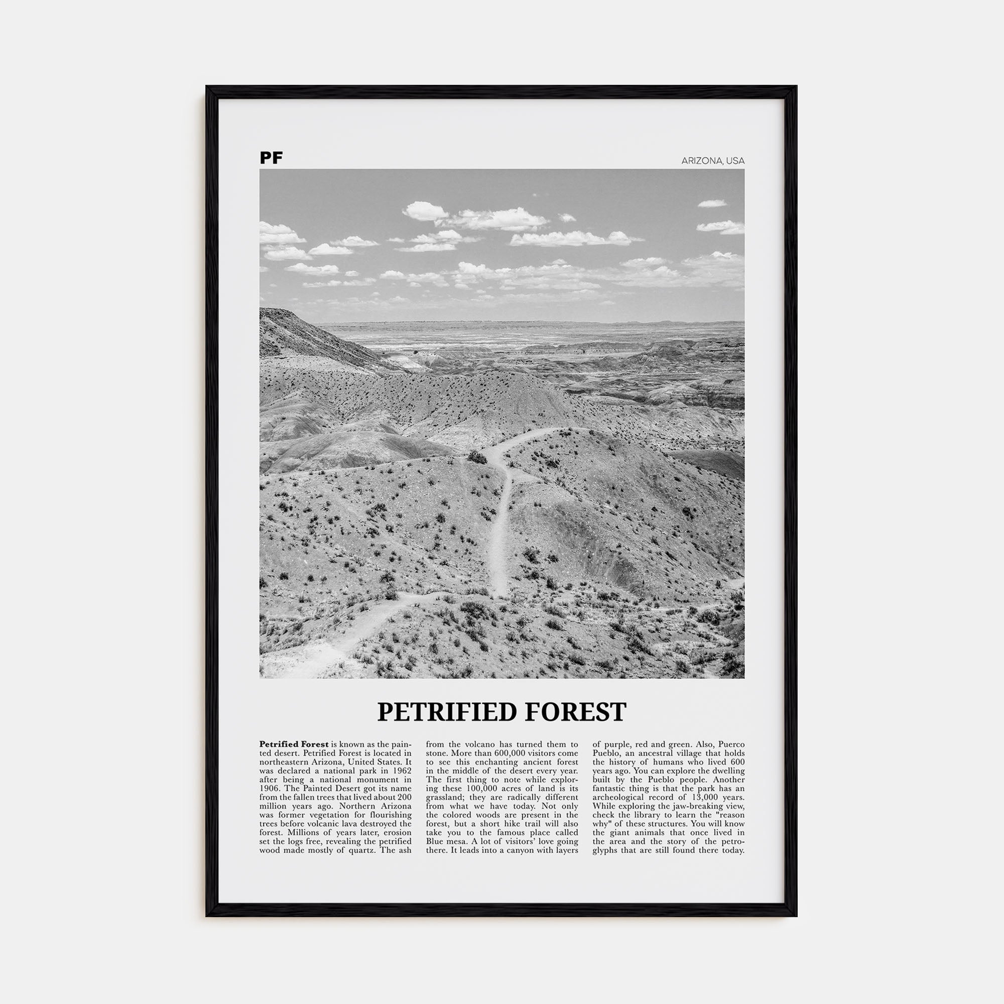 Petrified Forest National Park Travel B&W Poster