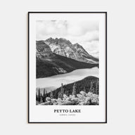 Peyto Lake Portrait B&W Poster