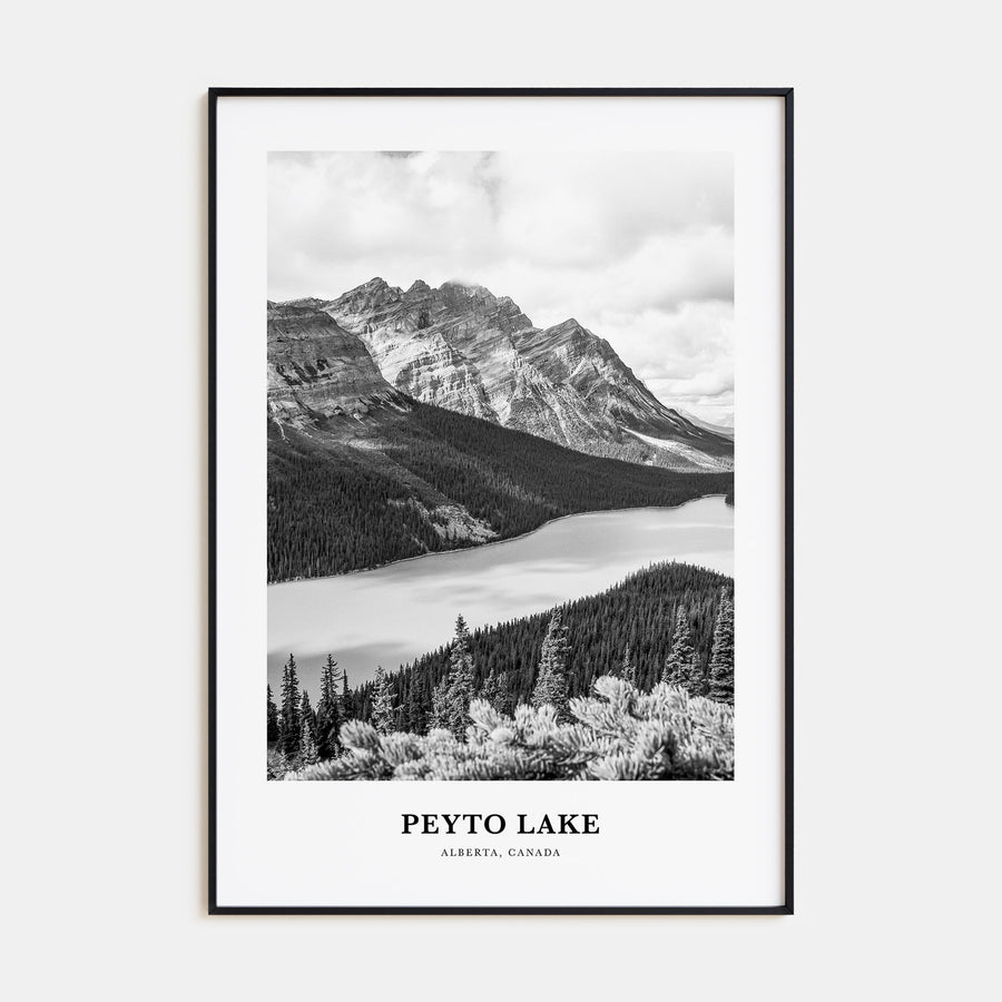 Peyto Lake Portrait B&W Poster