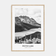 Peyto Lake Portrait B&W Poster