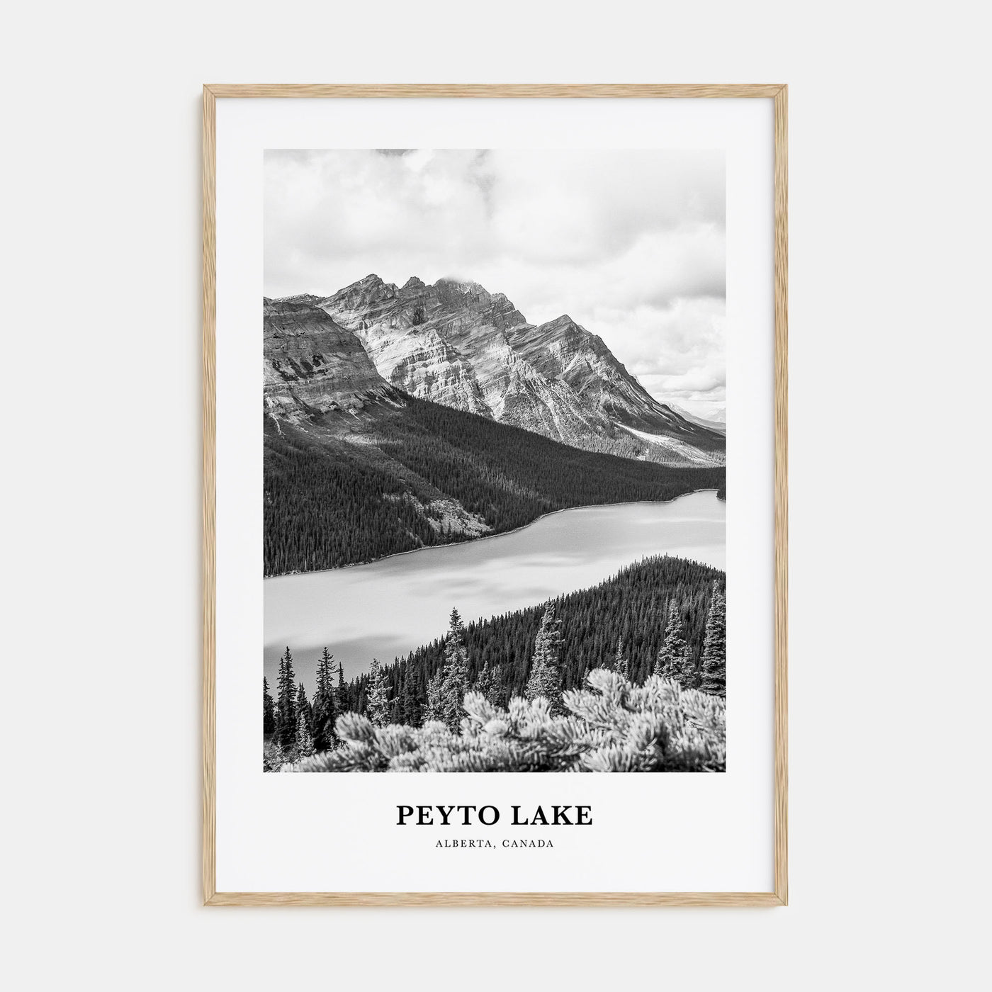 Peyto Lake Portrait B&W Poster