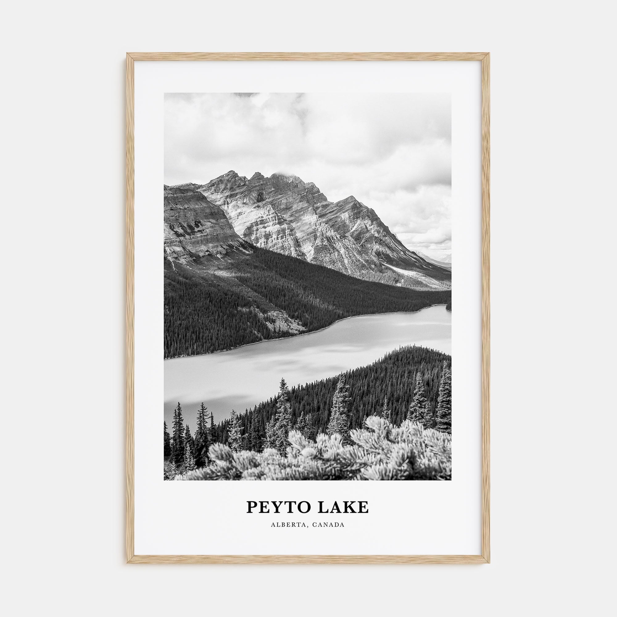 Peyto Lake Portrait B&W Poster
