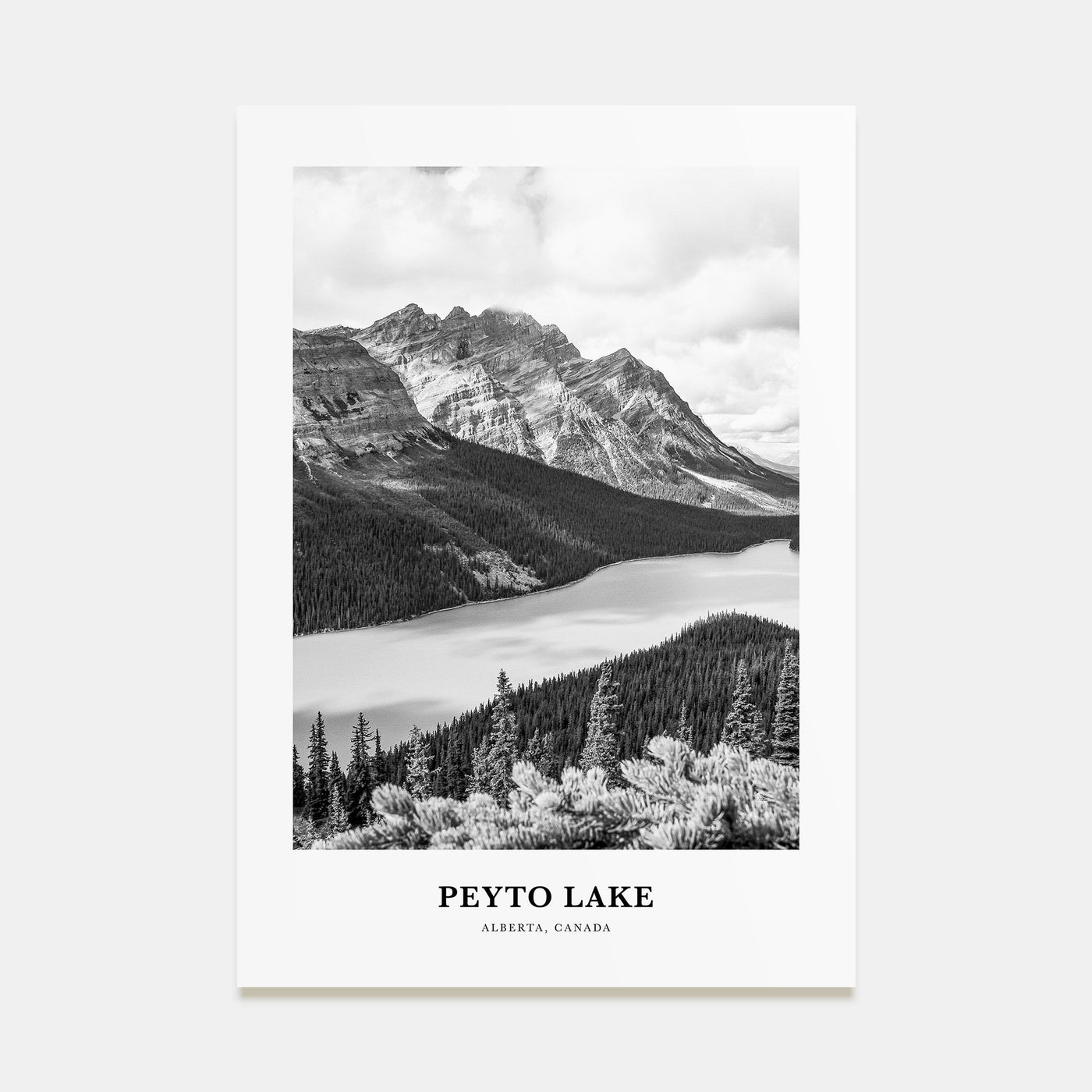 Peyto Lake Portrait B&W Poster