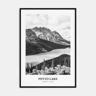Peyto Lake Portrait B&W Poster