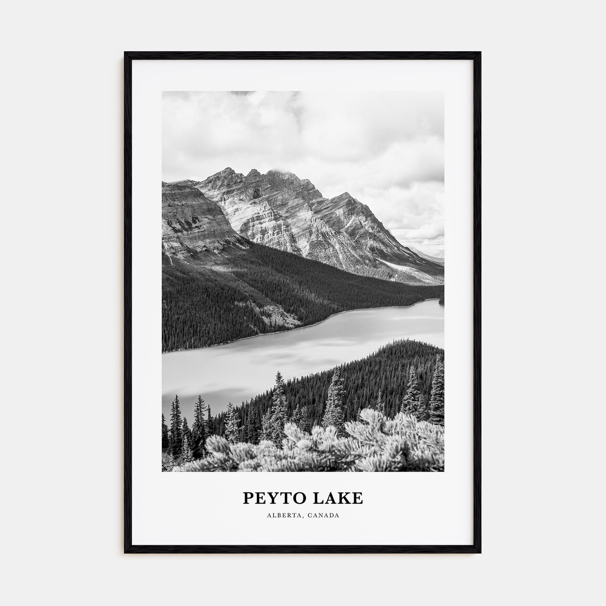 Peyto Lake Portrait B&W Poster
