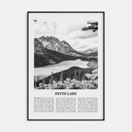 Peyto Lake Travel B&W Poster