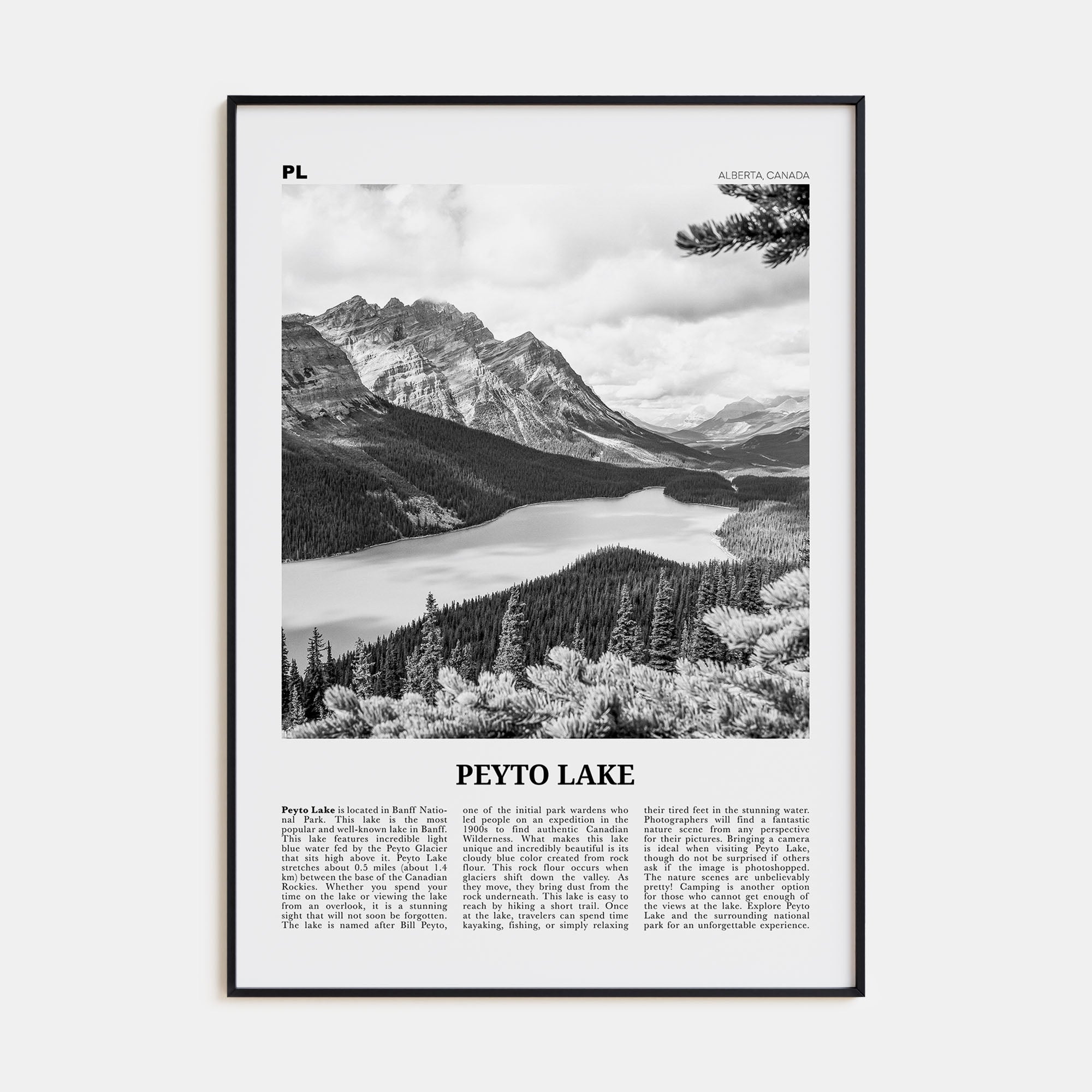 Peyto Lake Travel B&W Poster