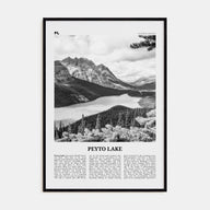 Peyto Lake Travel B&W Poster